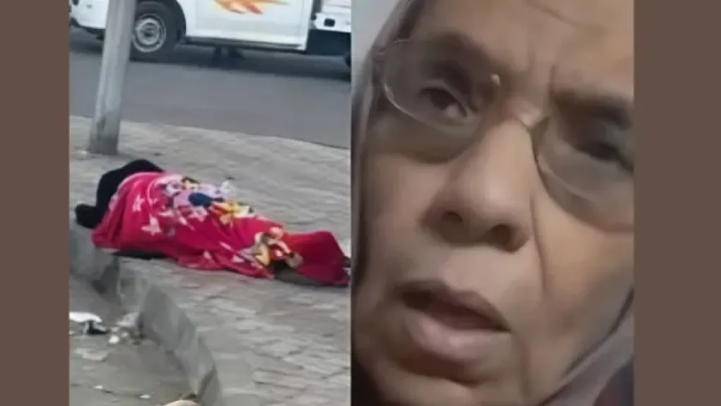 ليلي إبراهيم حسن