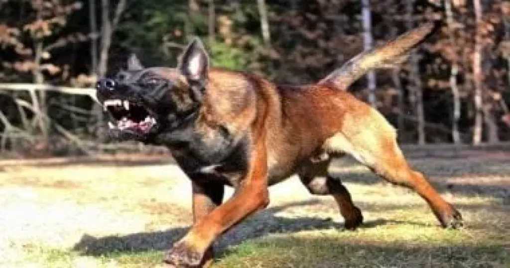 الداخلية تكشف ملابسات فيديو اعتداء طلاب على معلمة بالدقهلية