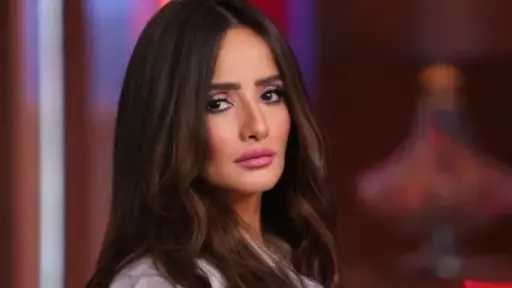 إحالة المتهمين في قضية اعتداء على نجلي الفنانة زينة إلى المحاكمة.. مستند