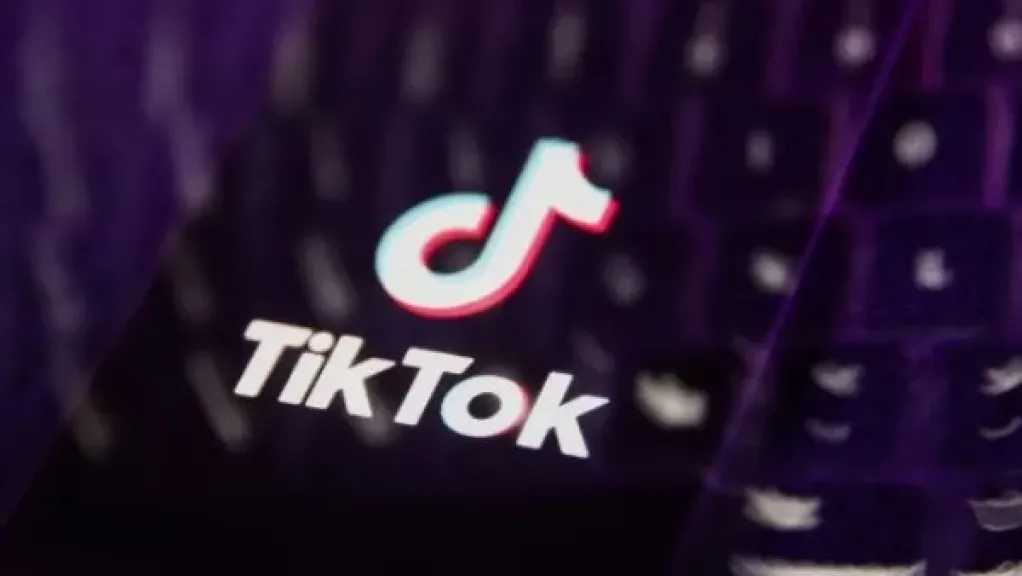 المحكمة الاقتصادية تؤجل الحكم في قضية البلوجر نرمين طارق