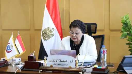 نائب وزير الصحة: القضية السكانية في صدارة أولويات الدولة المصرية