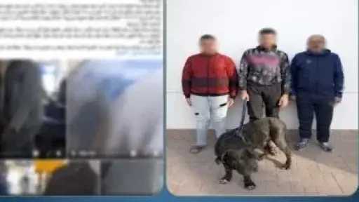 الداخلية تكشف ملابسات فيديو استغاثة سيدة تعرضت للترويع بكلب شرس في الإسكندرية الداخلية تكشف ملابسات فيديو استغاثة سيدة تعرضت للترويع بكلب شرس في الإسكندرية