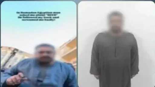 الداخلية تضبط سائق حنطور متهم بالتحرش بسائحة في الأقصر الداخلية تضبط سائق حنطور متهم بالتحرش بسائحة في الأقصر