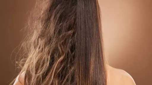 وصفات طبيعية للتخلص من هيشان الشعر الجاف.. حلول بسيطة تعيد الترطيب والنعومة