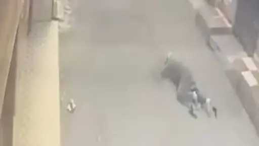 ضبط المتهم بالتعدي على طليقته بساطور في طنطا: تفاصيل الحادثة