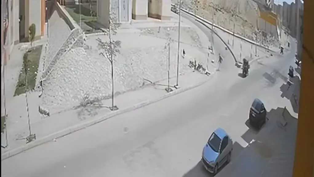 مأساة في حدائق أكتوبر.. طفلة تتعرض لهجوم كلاب ضالة وسائق توك توك ينقذها في اللحظة الأخيرة