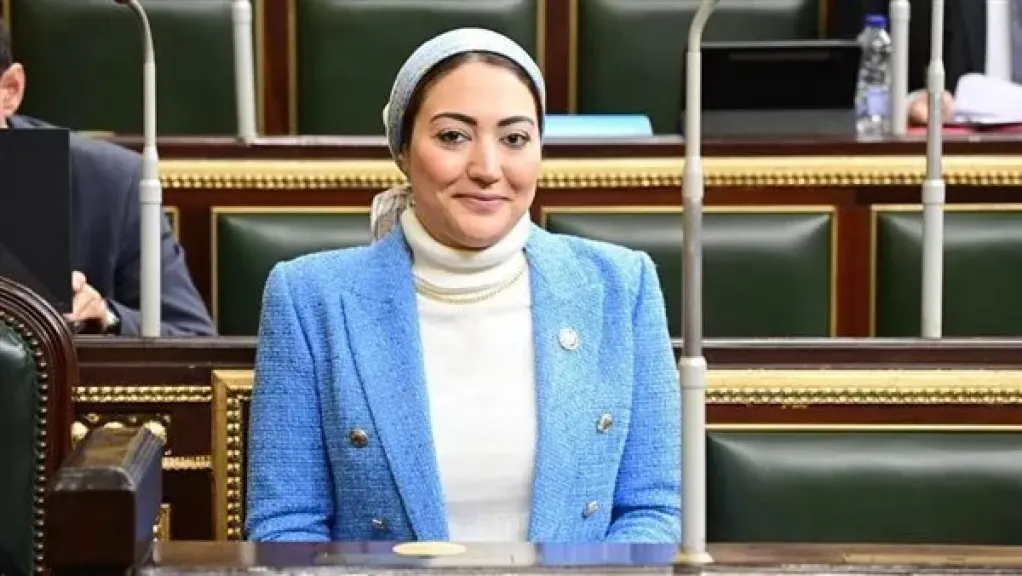 النائبة أسماء الجمال