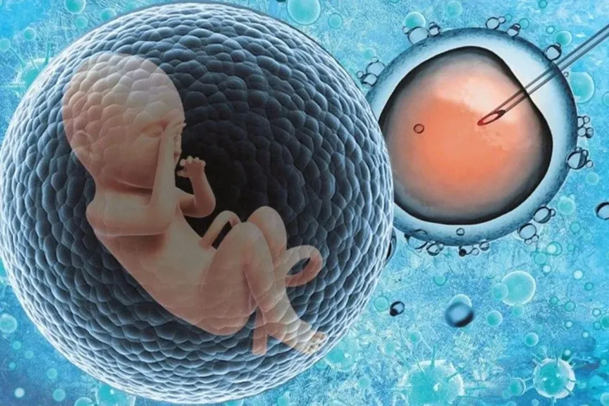  أطفال الأنابيب