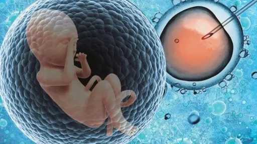 الكنيسة توضح موقفها من أطفال الأنابيب وتقنيات الإنجاب الحديثة