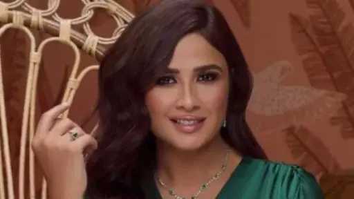 ياسمين عبد العزيز تتألق بإطلالة أنيقة عبر إنستجرام