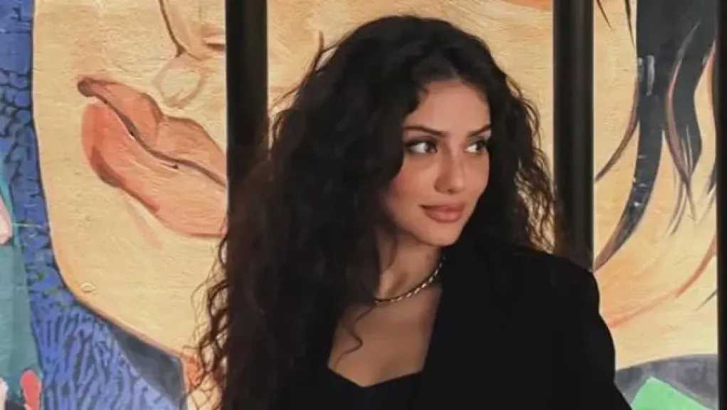 اتهام الفنانة جيهان الشماشرجي بالسرقة يثير الجدل ومحاميها يطالب بتحري الدقة