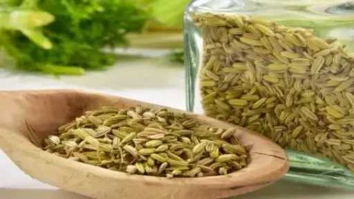 الشمر.. عشب صحي متعدد الفوائد وسهل الاستخدام