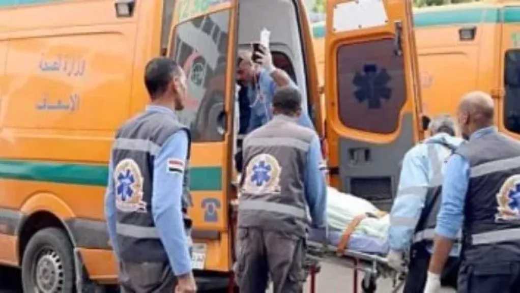 انقلبت بهم السيارة.. تفاصيل إصابة أسرة كاملة بالدقهلية