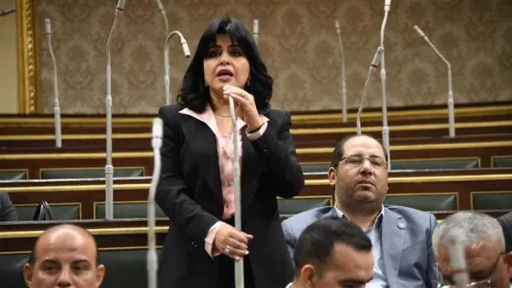 النائبة هند رشاد: كلمة الرئيس السيسي تدعو للتماسك الوطني في مواجهة التحديات