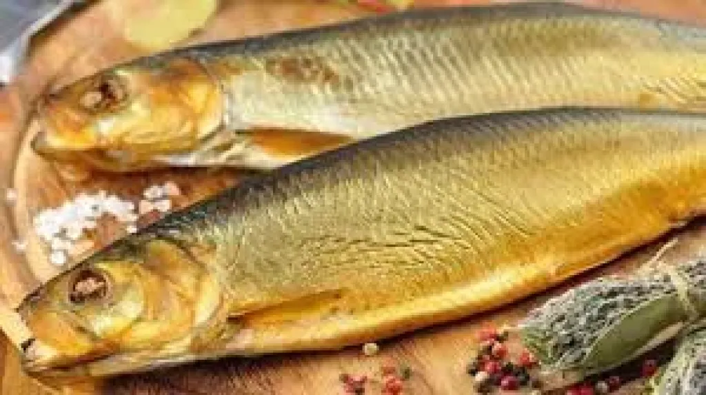 الرنجة والأسماك المملحة