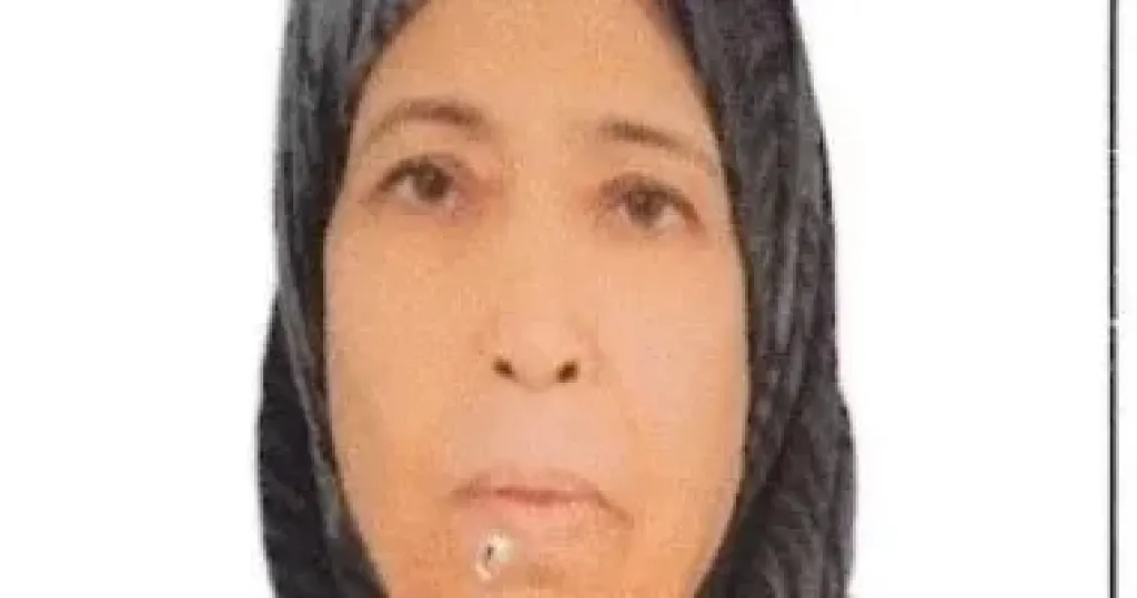 الأم المثالية