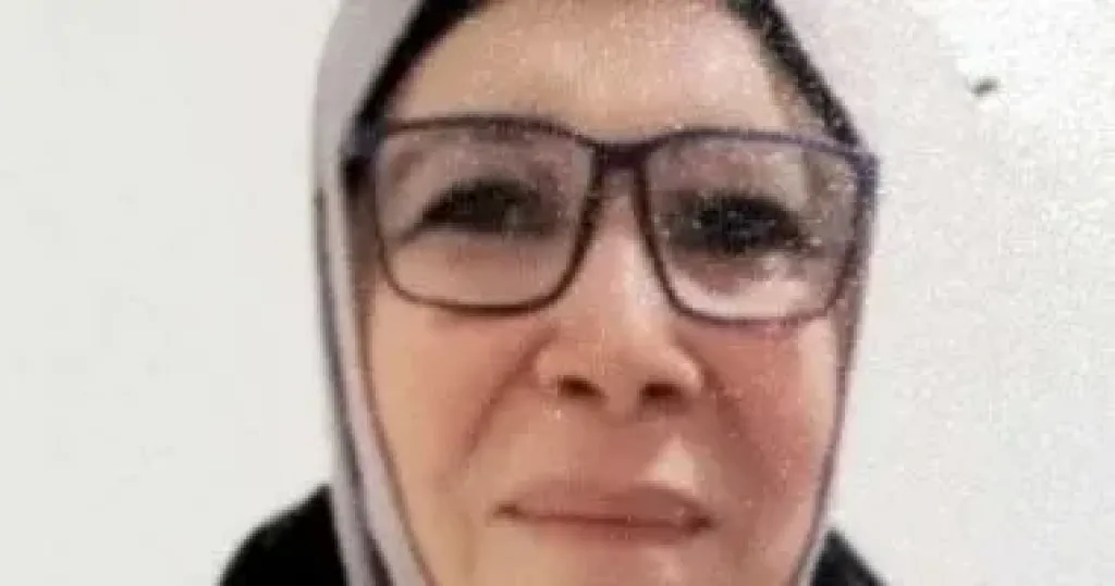 الأم المثالية