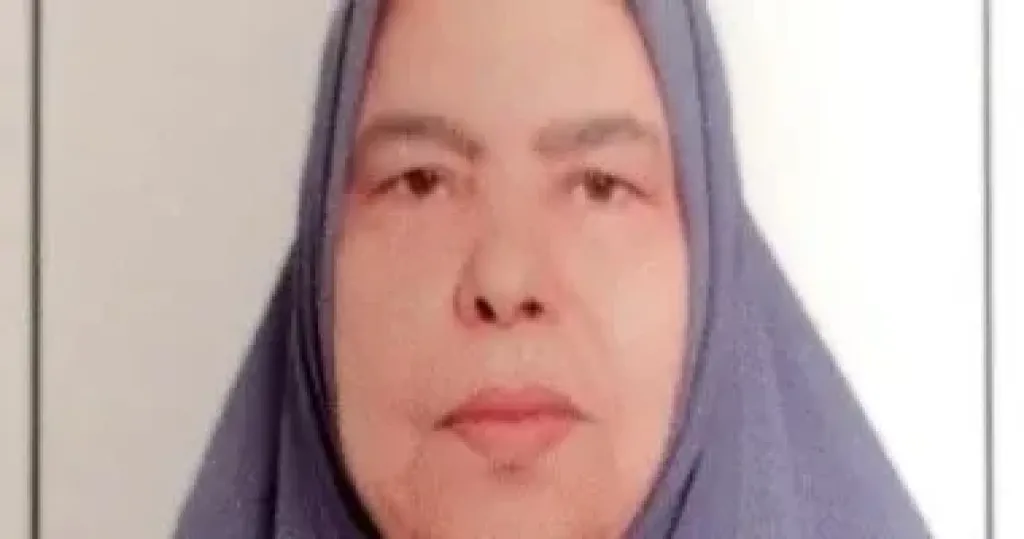الأم المثالية