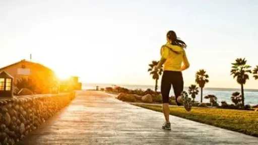 بعد العيد.. 5 خطوات فعّالة لاستعادة الوزن المثالي والتخلص من الدهون بعد العيد.. 5 خطوات فعّالة لاستعادة الوزن المثالي والتخلص من الدهون