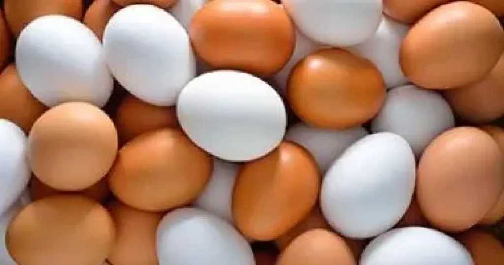 بشري للأمهات.. التموين تطرح بيض المائدة والطماطم بأسعار مخفضة بمنافذها