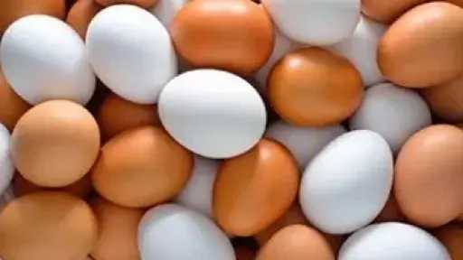 بشري للأمهات.. التموين تطرح بيض المائدة والطماطم بأسعار مخفضة بمنافذها