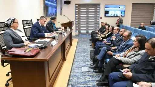 لجنة حقوق الإنسان بالبرلمان تبحث آليات مكافحة زواج الأطفال في مصر لجنة حقوق الإنسان بالبرلمان تبحث آليات مكافحة زواج الأطفال في مصر