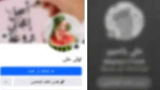 ضبط شبكة تروج للأنشطة المنافية للآداب عبر مواقع التواصل بالدقهلية ضبط شبكة تروج للأنشطة المنافية للآداب عبر مواقع التواصل بالدقهلية