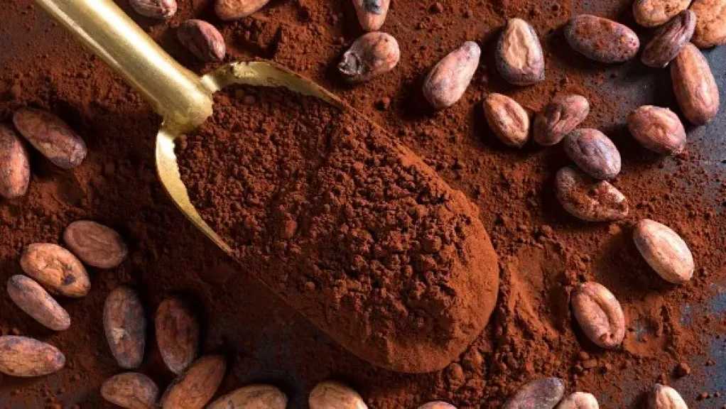 طريقة تحضير بودرة الكاكاو لتدفئة الشتاء بأسلوب بسيط