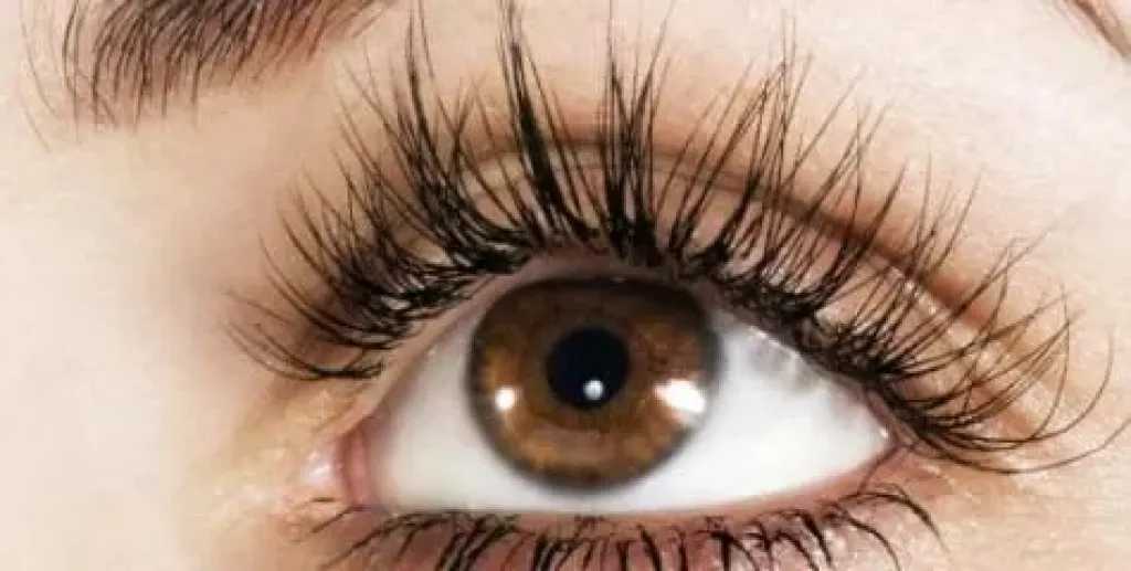 وصفات طبيعية لتعزيز كثافة الرموش.. حلول آمنة تغذي الشعر وتمنحه مظهرًا أكثر جاذبية