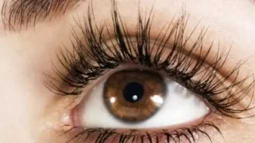 وصفات طبيعية لتعزيز كثافة الرموش.. حلول آمنة تغذي الشعر وتمنحه مظهرًا أكثر جاذبية