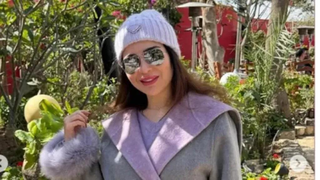 الفنانة مي عز الدين