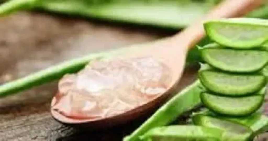 جل الصبار سر طبيعي لنمو الشعر وزيادة كثافته