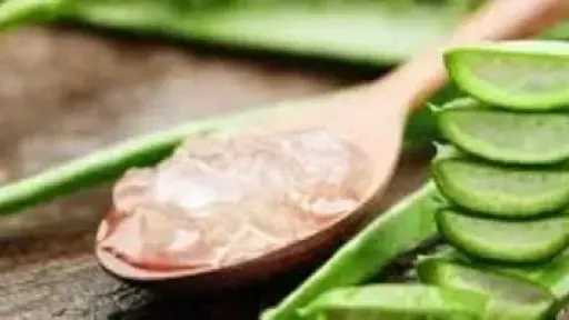 جل الصبار سر طبيعي لنمو الشعر وزيادة كثافته