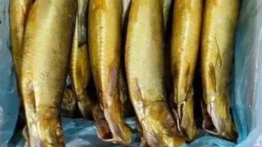 قبل ترويجهابالأسواق.. ضبط 8 أطنان من الرنجة الفاسدة في حملة أمنية بالدقهلية