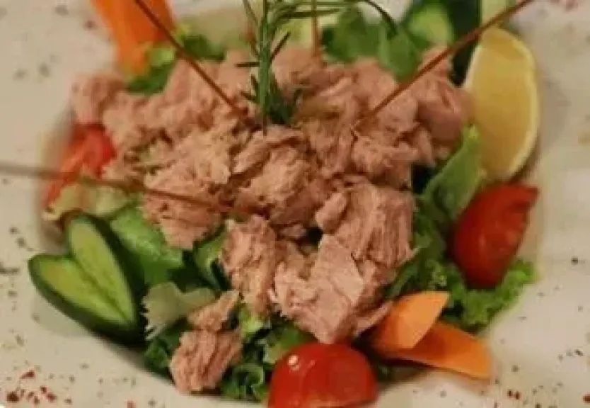 سلطة التونة بالزبادي