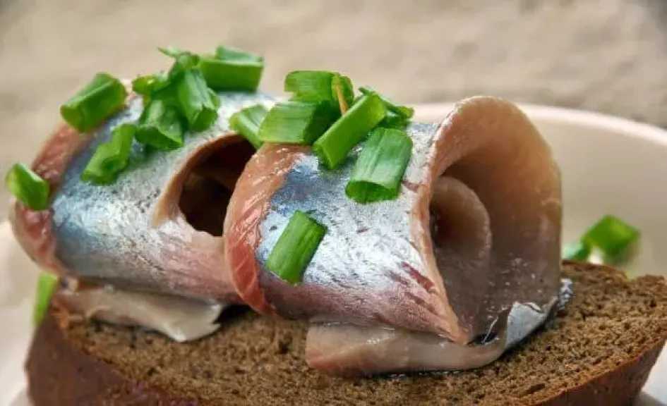 إتيكيت تناول الرنجة والفسيخ في شم النسيم.. دليل للاحتفال بأناقة وراحة