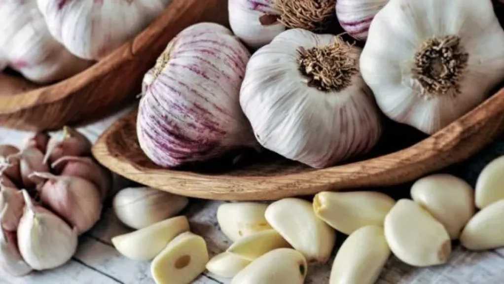 خبراء التغذية.. التخزين الخاطئ للثوم يهدد بفقدان فوائده وتلفه السريع