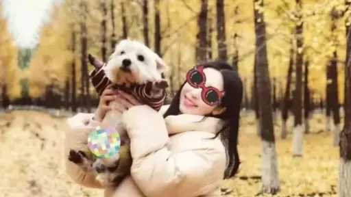 امرأة صينية تستقيل من عملها وتخوض معركة قانونية بعد تسميم كلبها الأليف