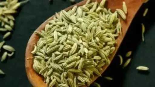 بذور الشمر والكراوية والكمون.. علاج طبيعي للتخلص من مشكلات الهضم بعد وجبة... بذور الشمر والكراوية والكمون.. علاج طبيعي للتخلص من مشكلات الهضم بعد وجبة الغداء