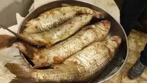 الرنجة والفسيخ على موائد شم النسيم.. بين المتعة والمخاطر الصحية