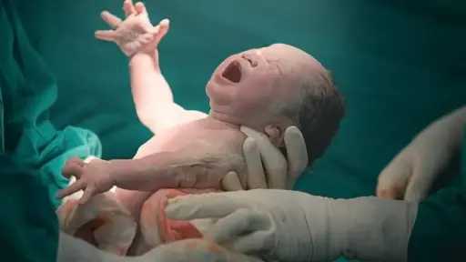 إنقاذ حياة أم وطفلها: ولادة مفاجئة داخل سيارة في الدقهلية