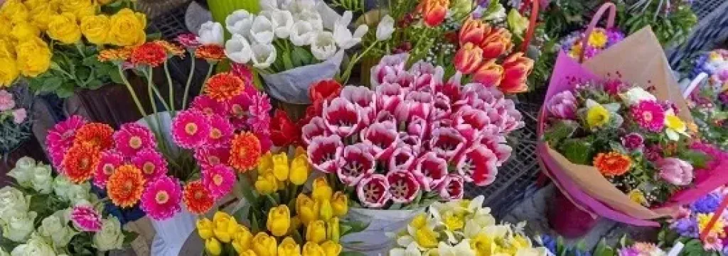 معرض الزهور