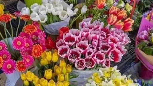 معرض الزهور 2026: نباتات تضفي السعادة وتبعث الطاقة الإيجابية