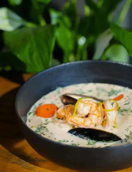 شوربات كريمية