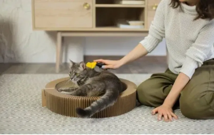 الحيوانات الأليفة