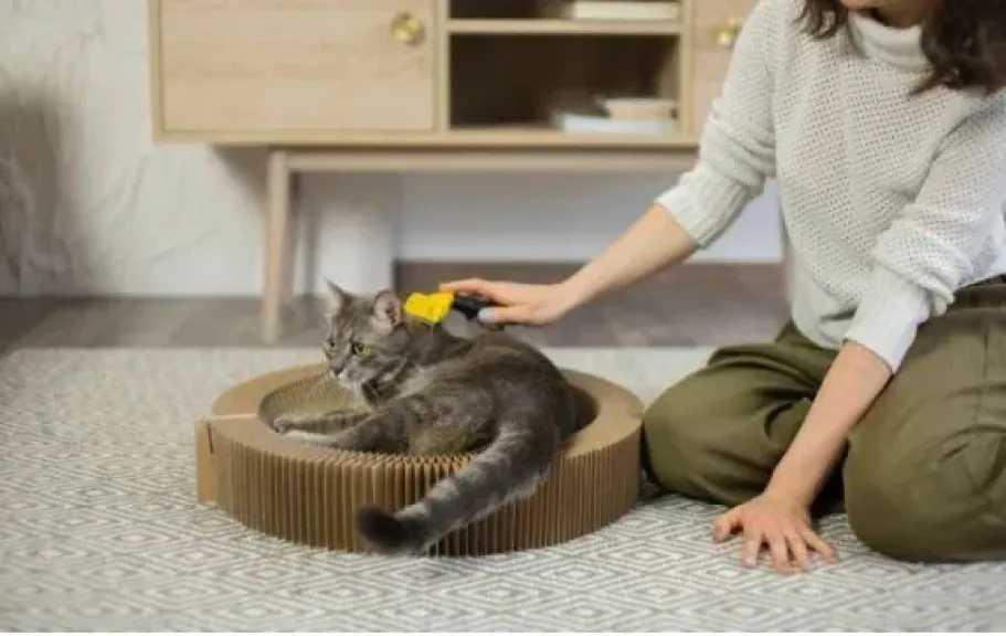 كيف تتغلب على مشكلة التصاق شعر الحيوانات الأليفة بالملابس؟