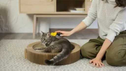 كيف تتغلب على مشكلة التصاق شعر الحيوانات الأليفة بالملابس؟