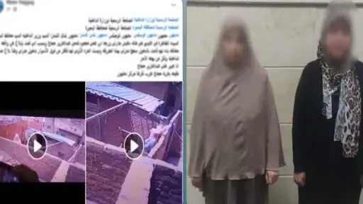 جارتان في البحيرة.. خلافات الجيرة تصل إلى تدمير كاميرات المراقبة