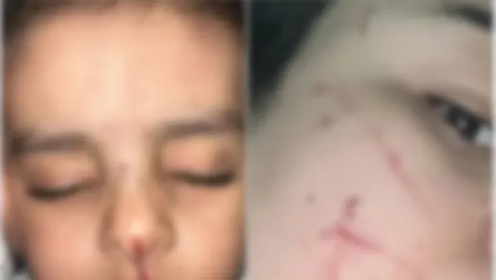 التعدي علي ربة منزل