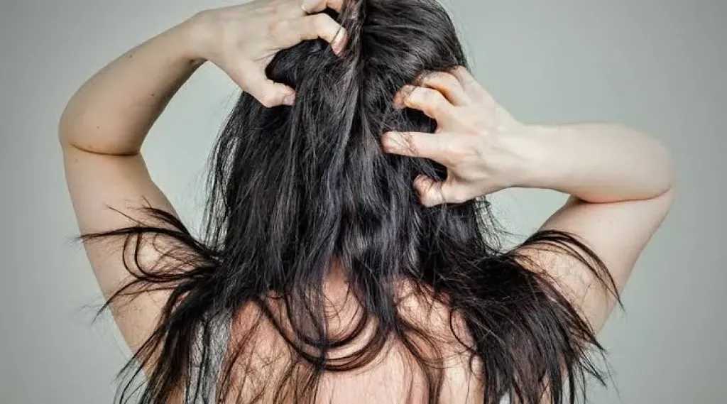 نصائح العناية بفروة الرأس لضمان صحة شعر قوية وكثيفة
